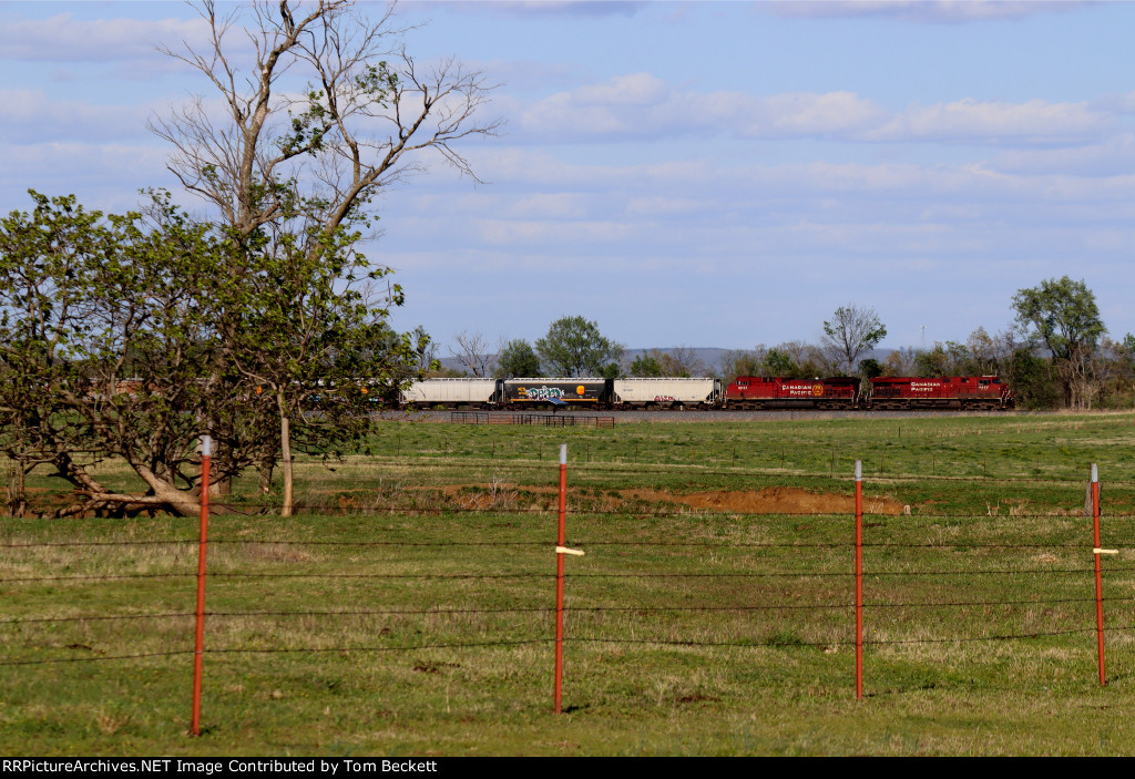 Fenced in